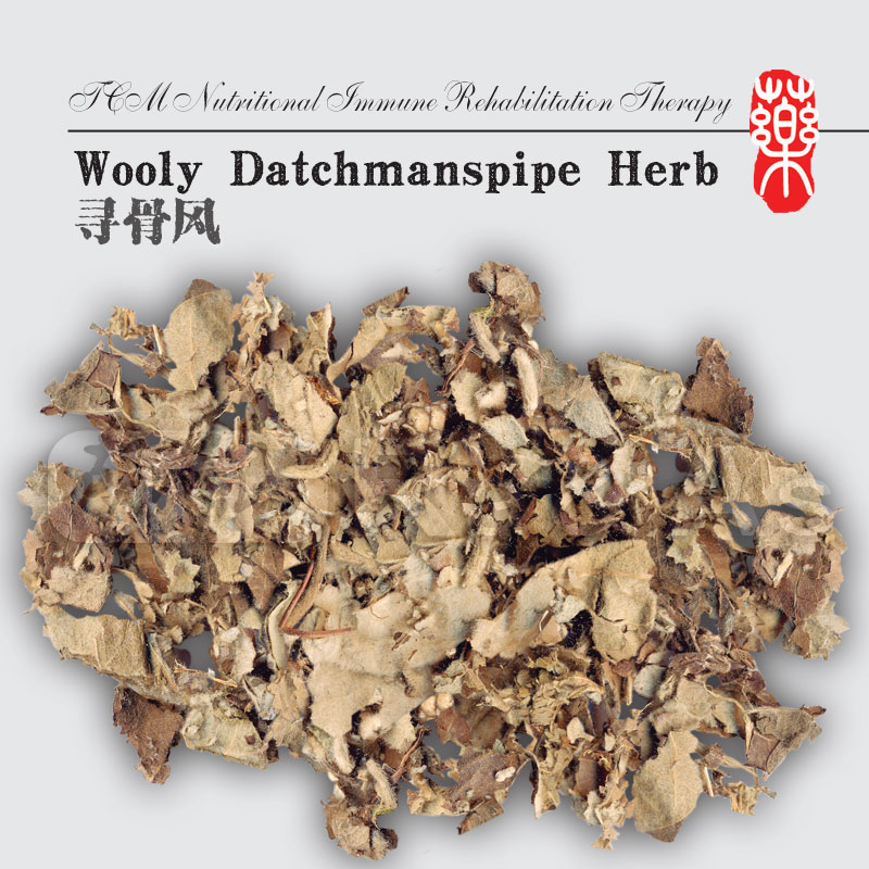 Wooly Datchmanspipe Herb