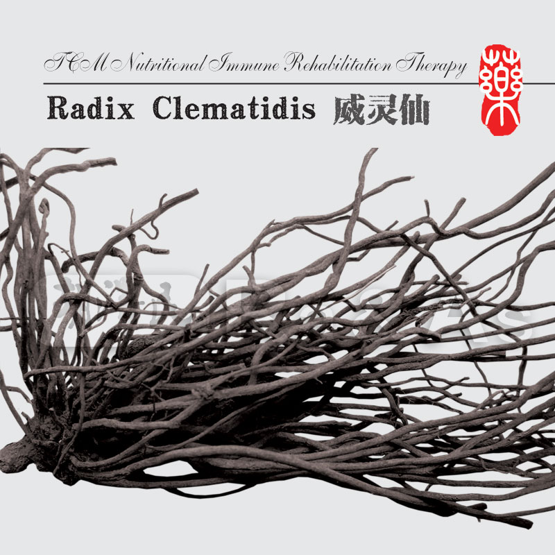 Radix Clematidis