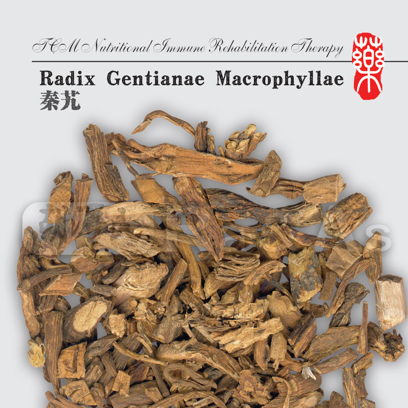 Radix Gentianae Macrophyllae