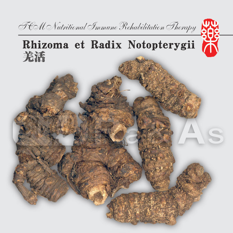 Rhizoma et Radix Notopterygii