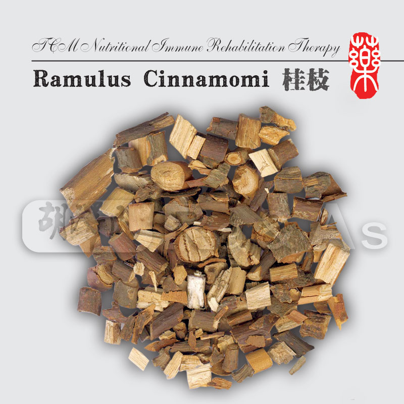 Ramulus Cinnamomi
