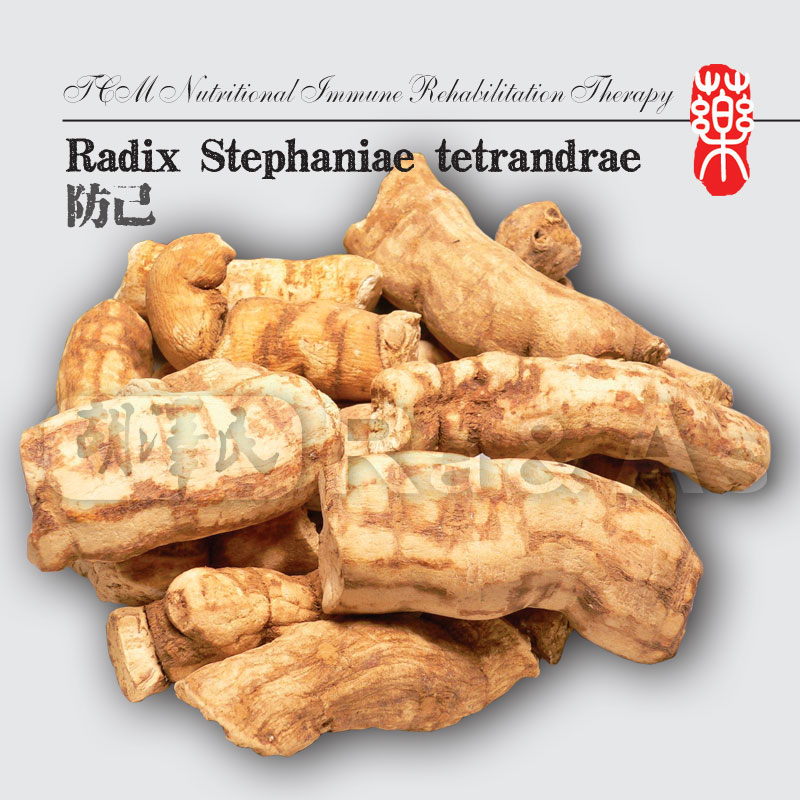 Radix Stephaniae tetrandrae